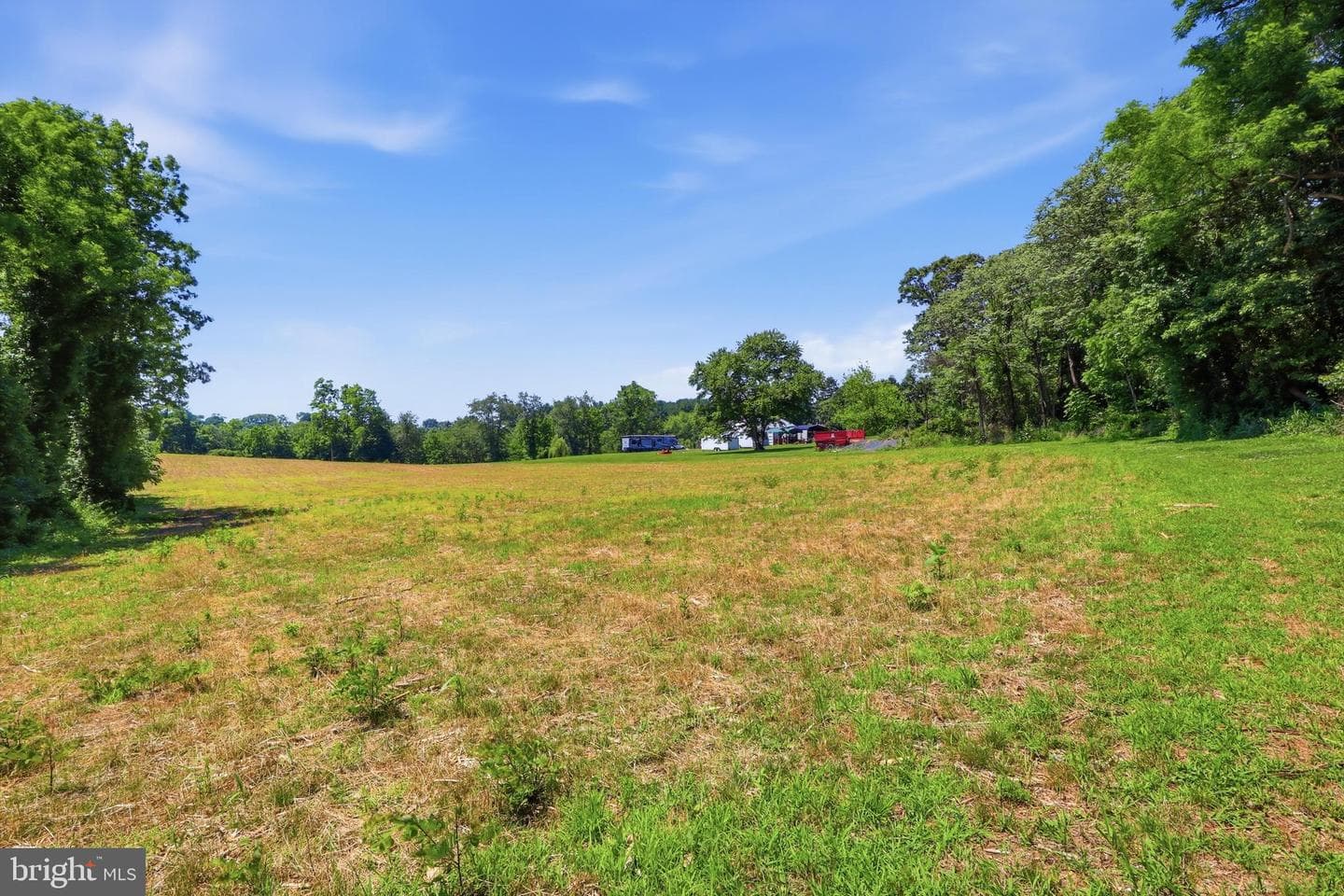 3555 Mill Green Road photo 76