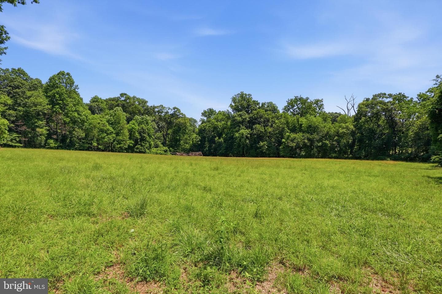 3555 Mill Green Road photo 78