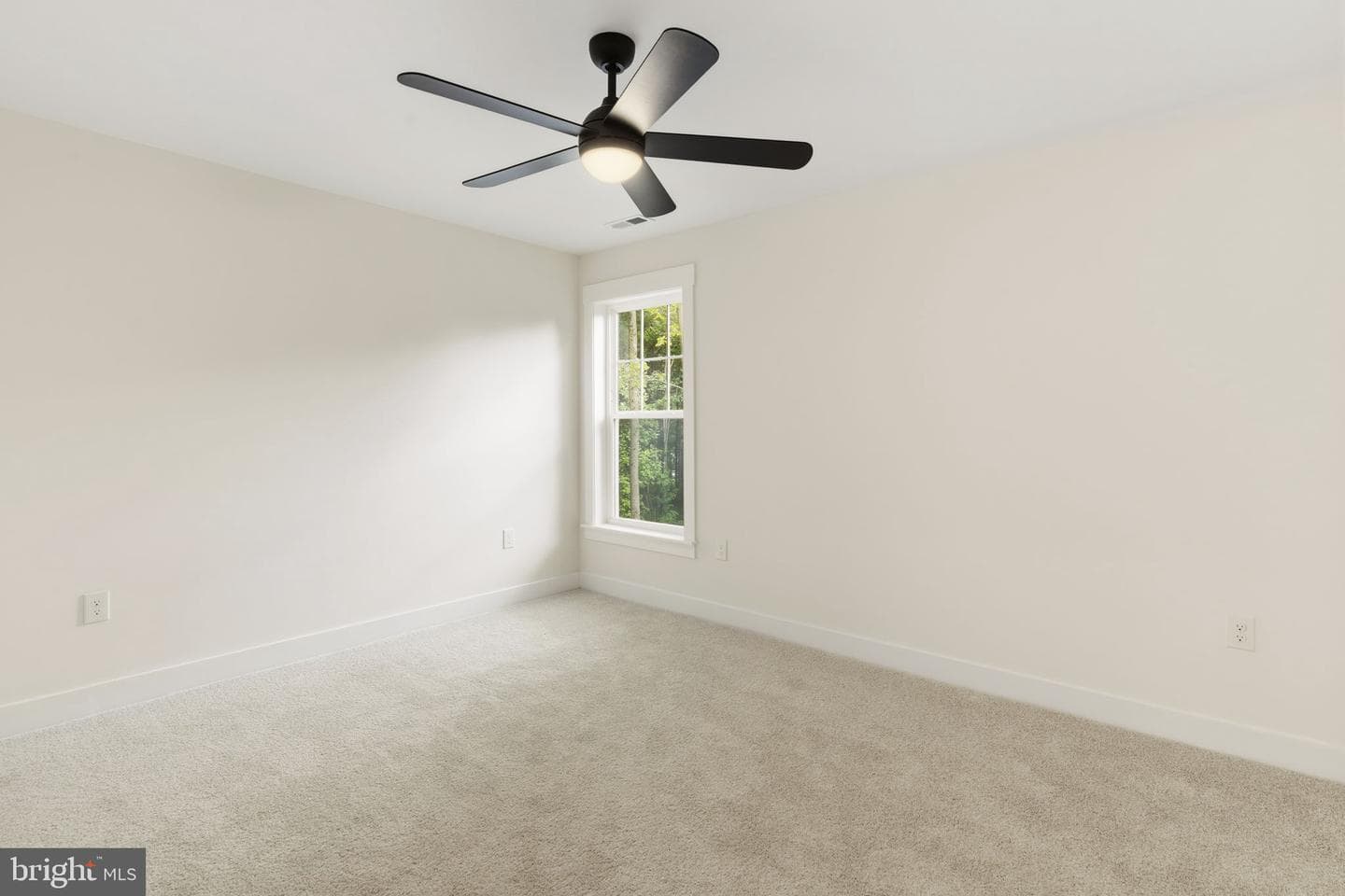 2809 Belcamp Road photo 33