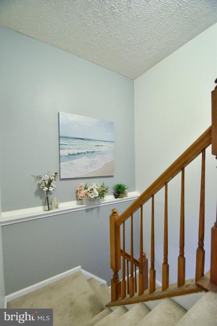 1032 Jeanett Way photo 10