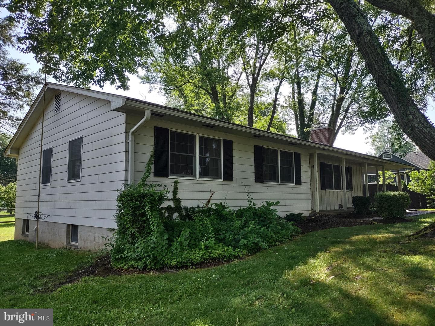 211 Richardson Street photo 3