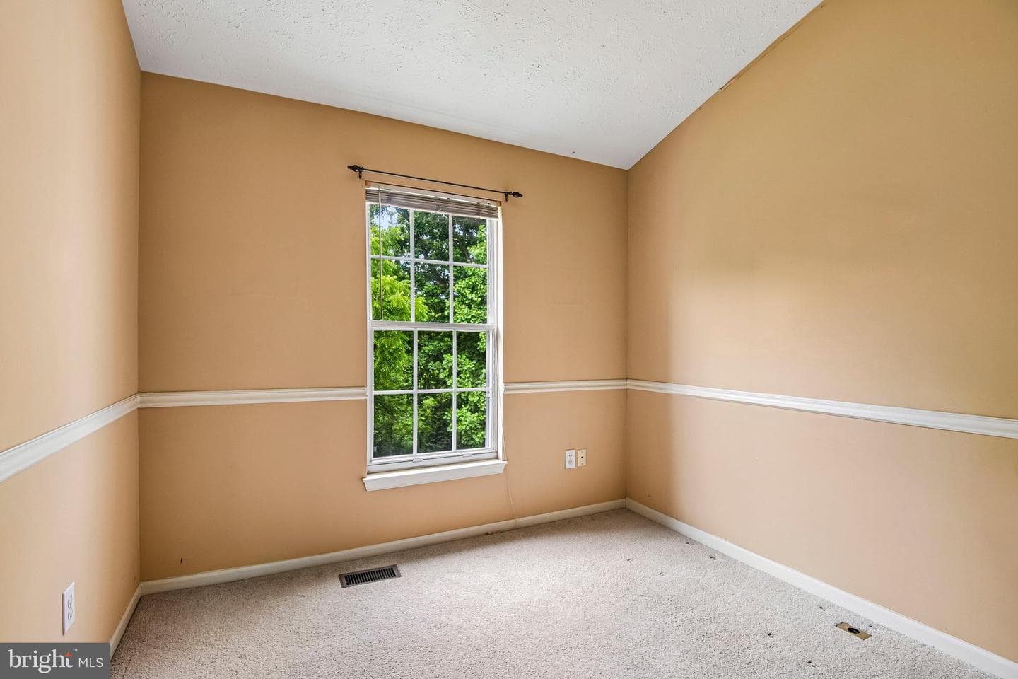 348 Cinnabar Lane photo 17