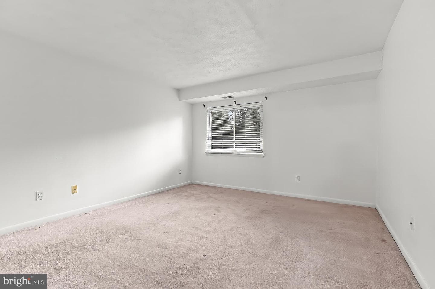 1002 Magnolia Woods Court #1002-E photo 9