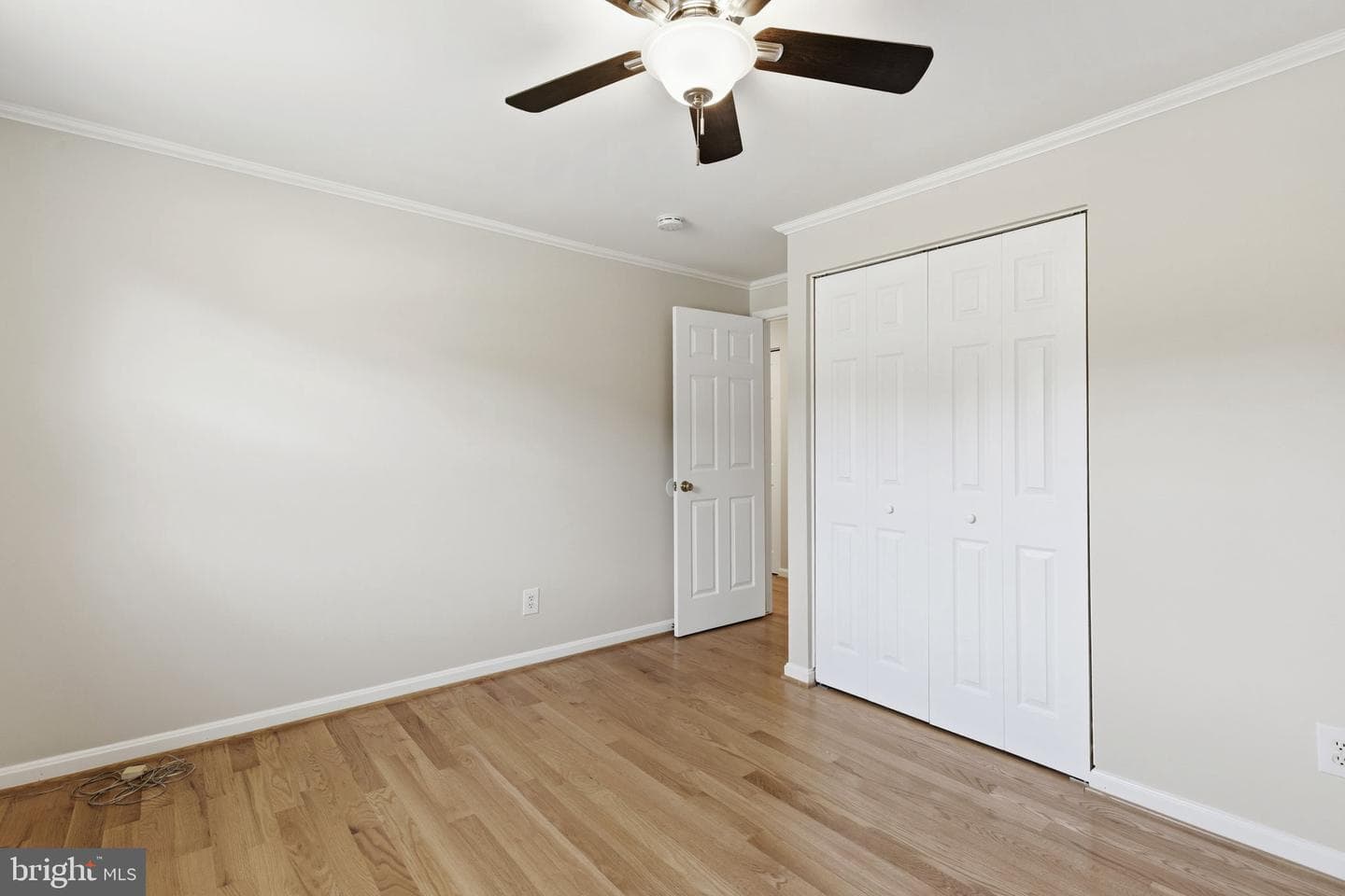 3906 Boxwood Road photo 25