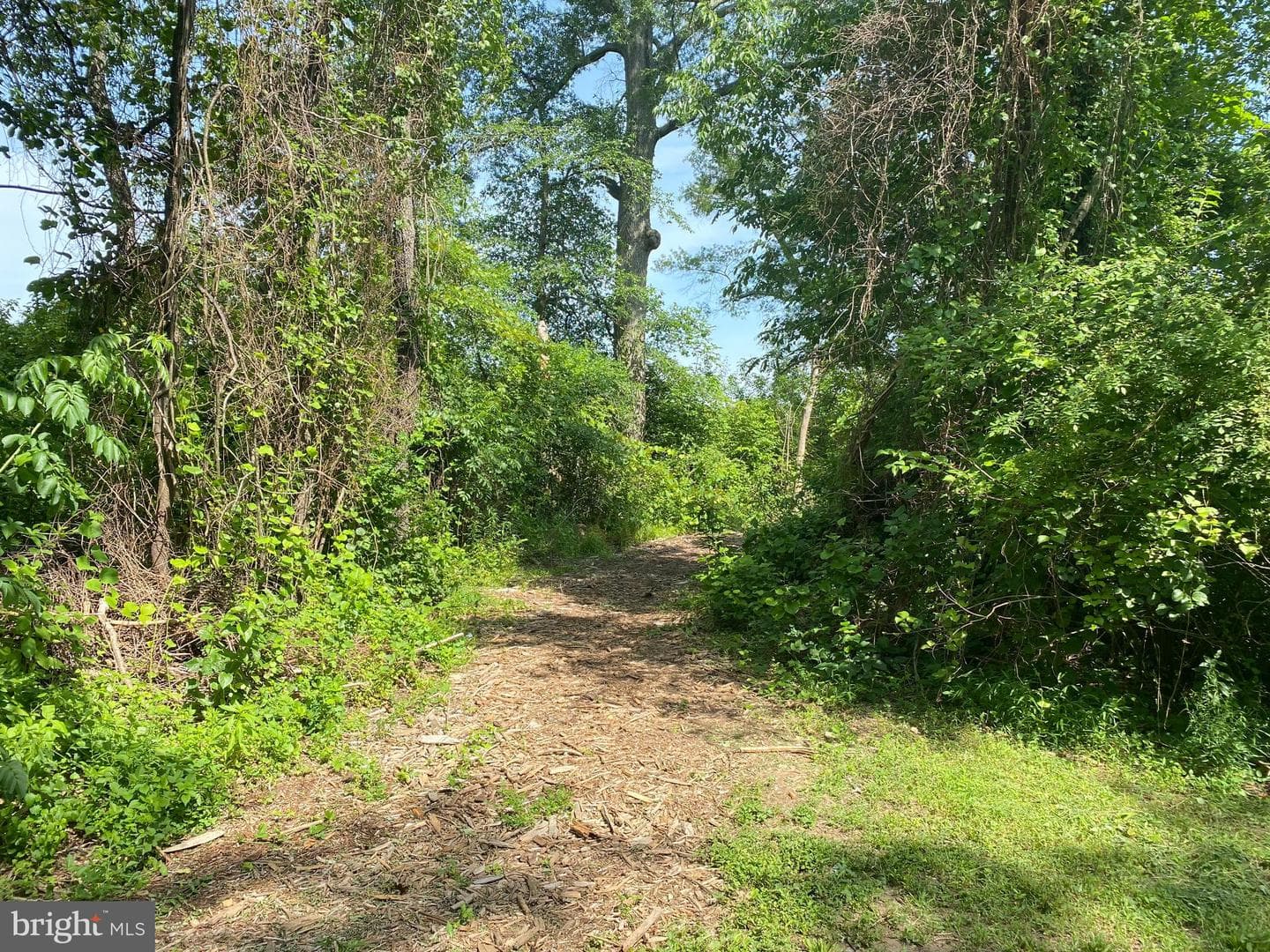 916 Pirates Court photo 49