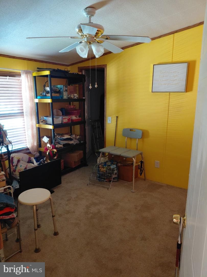 32 Mallard Way photo 19