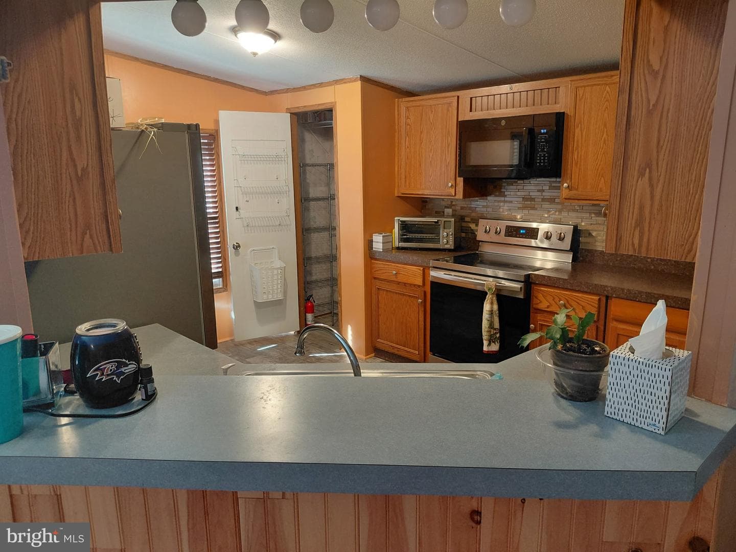 32 Mallard Way photo 5