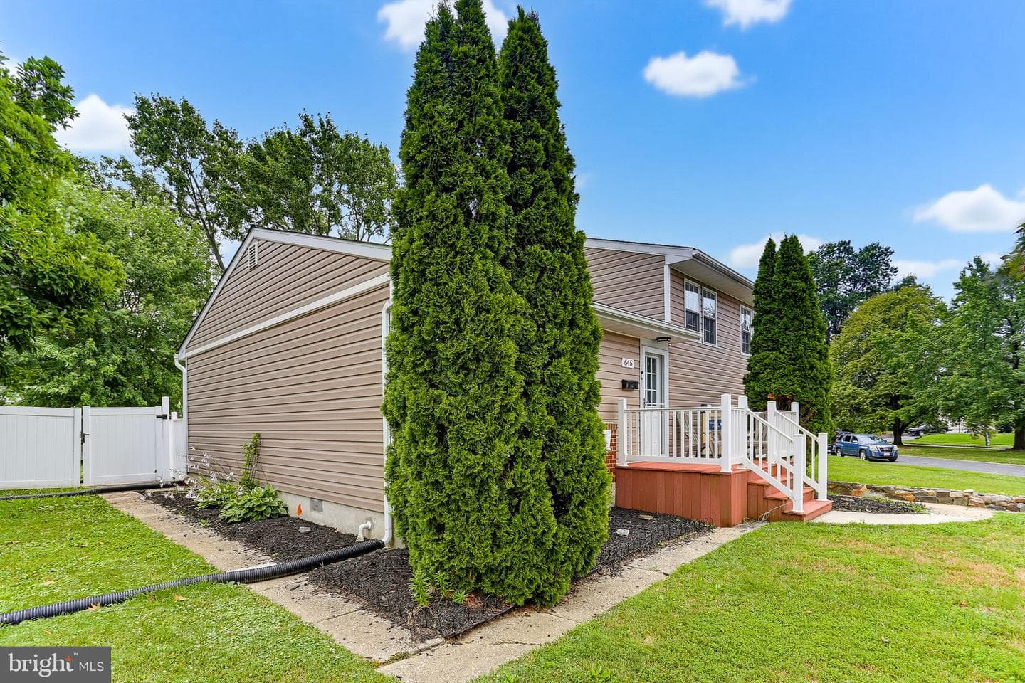 645 Walker Street photo 31