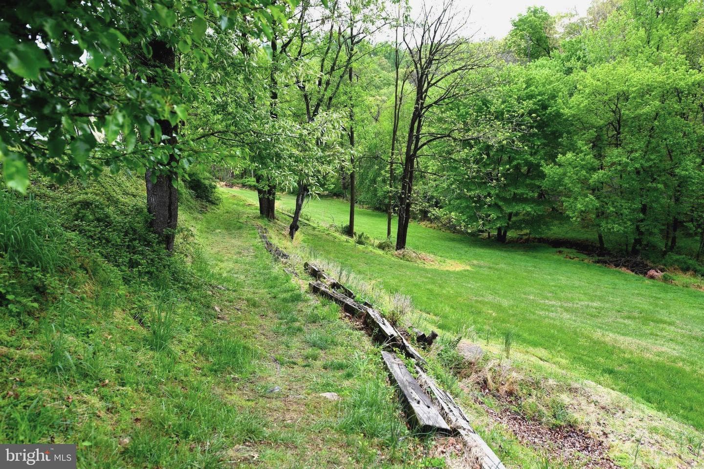 305 Rolling Knoll Drive photo 36