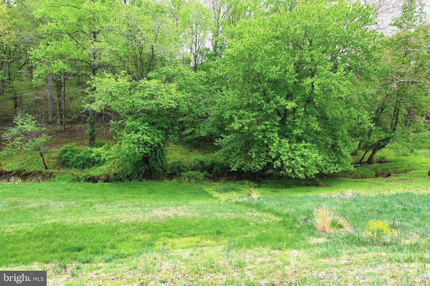 305 Rolling Knoll Drive photo 41