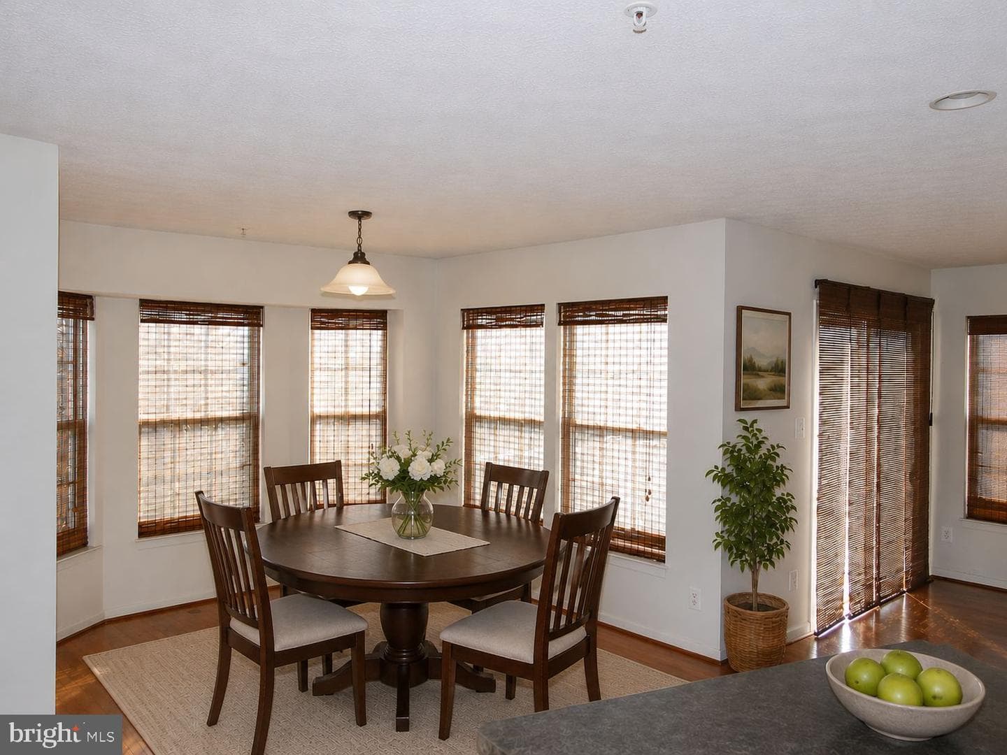 4817 Limestone Court photo 10