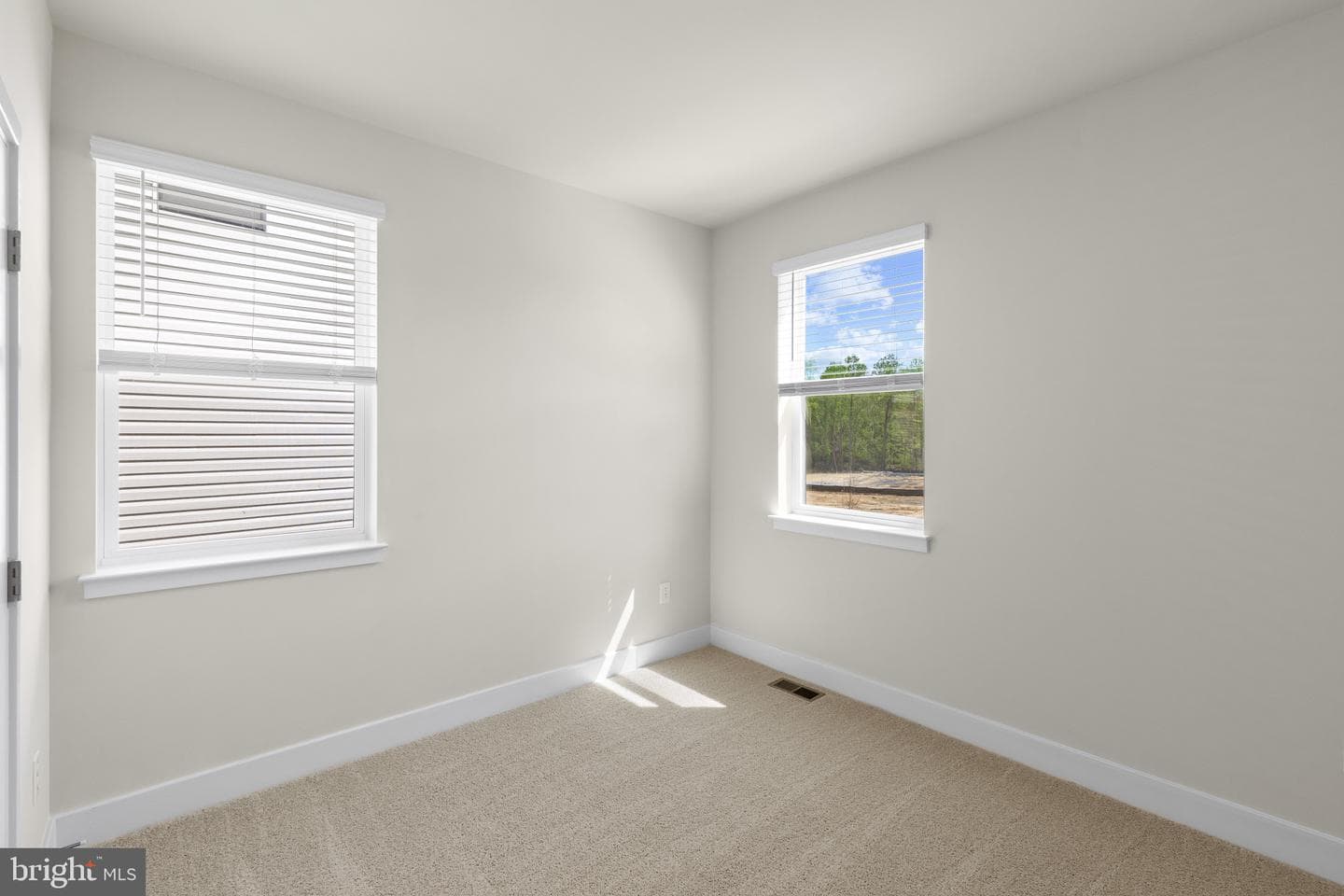 807 Spikeresh Way photo 20