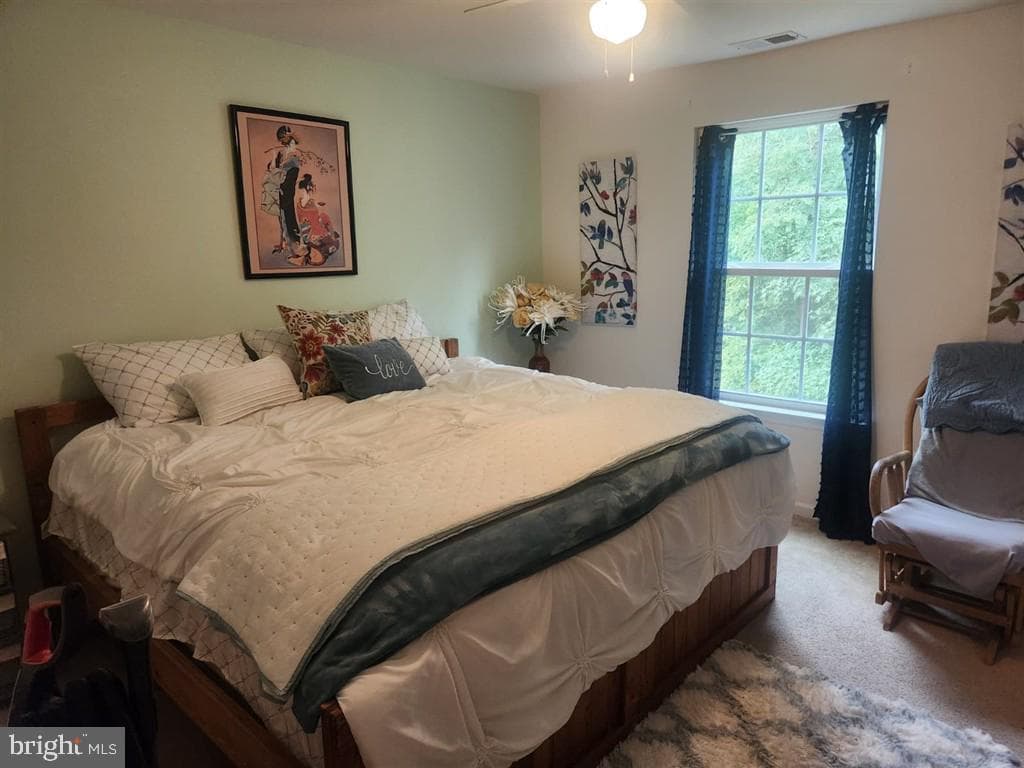 528 Potomac Road photo 18