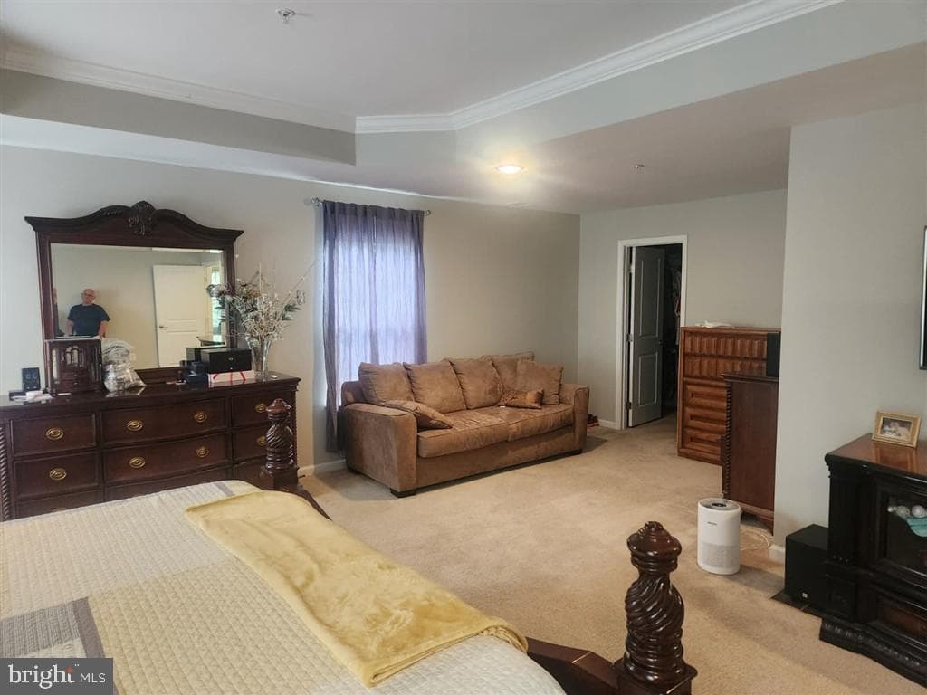 528 Potomac Road photo 22