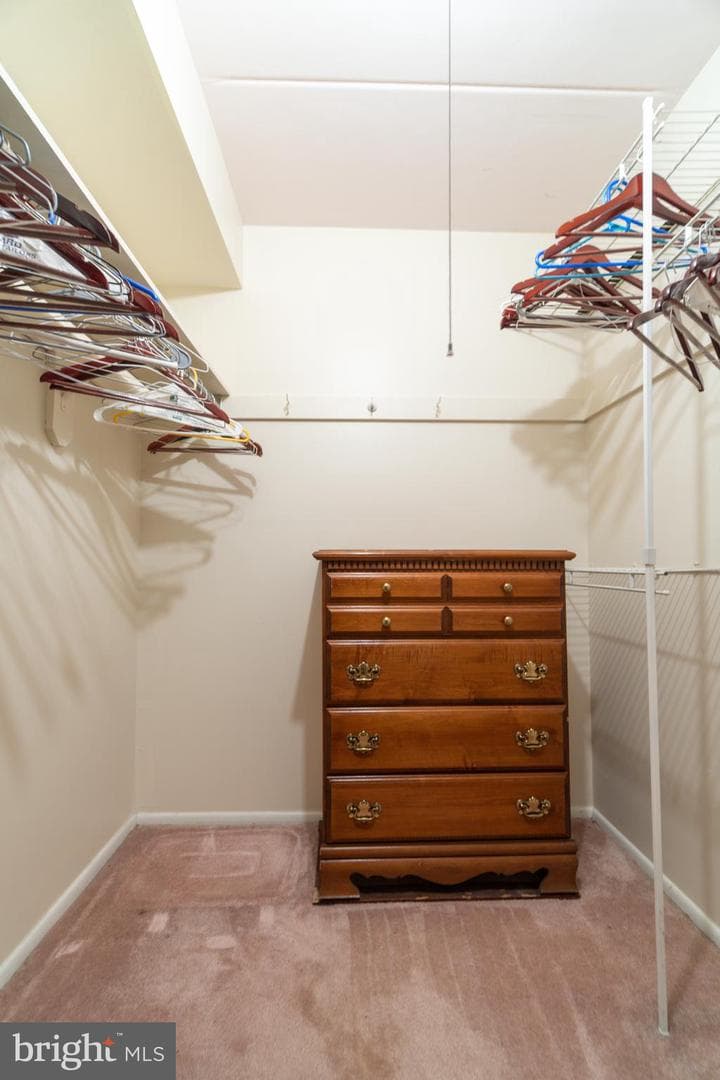 5390 Smooth Meadow Way #b2d-02 photo 11