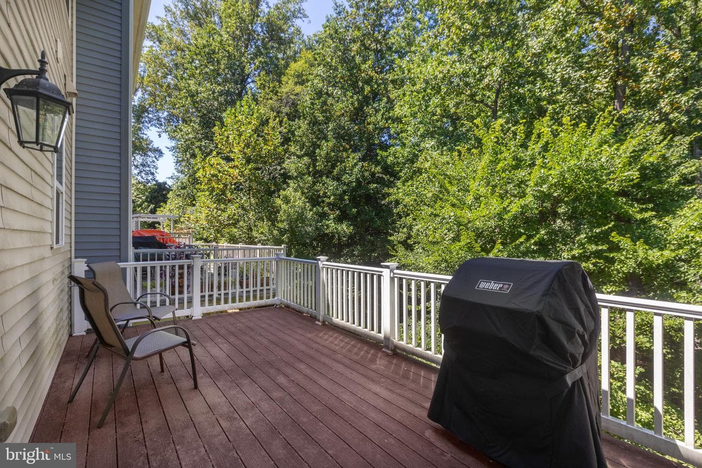 9380 Rock Ripple Lane photo 7