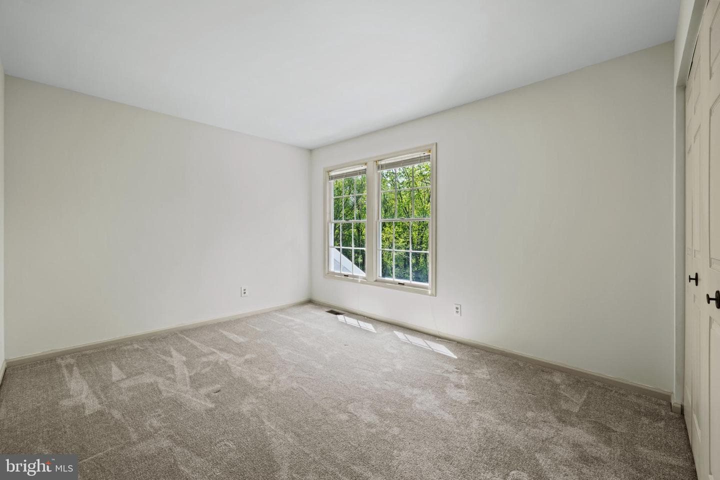 10343 Waverly Woods Drive photo 33