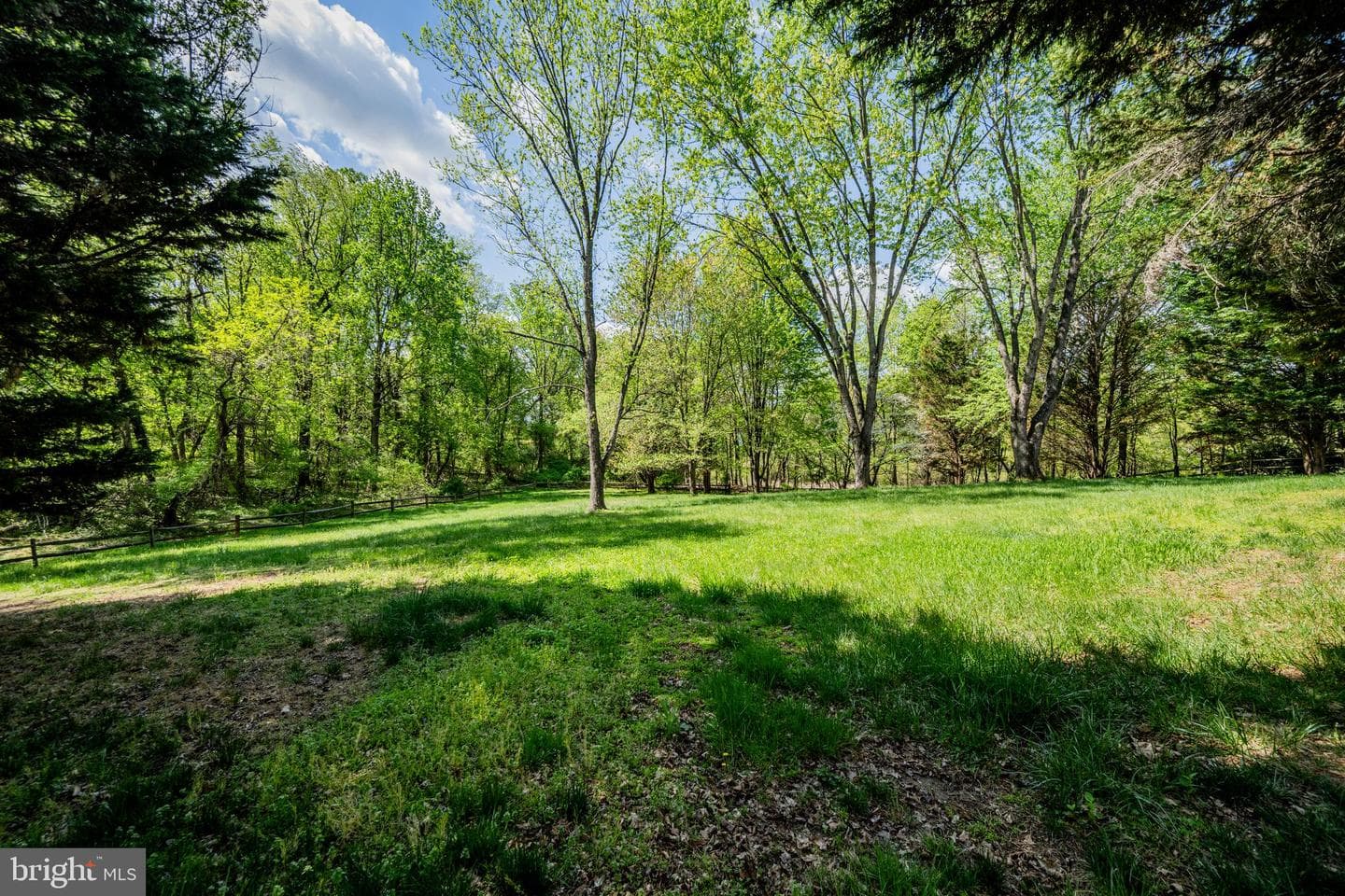 10343 Waverly Woods Drive photo 46