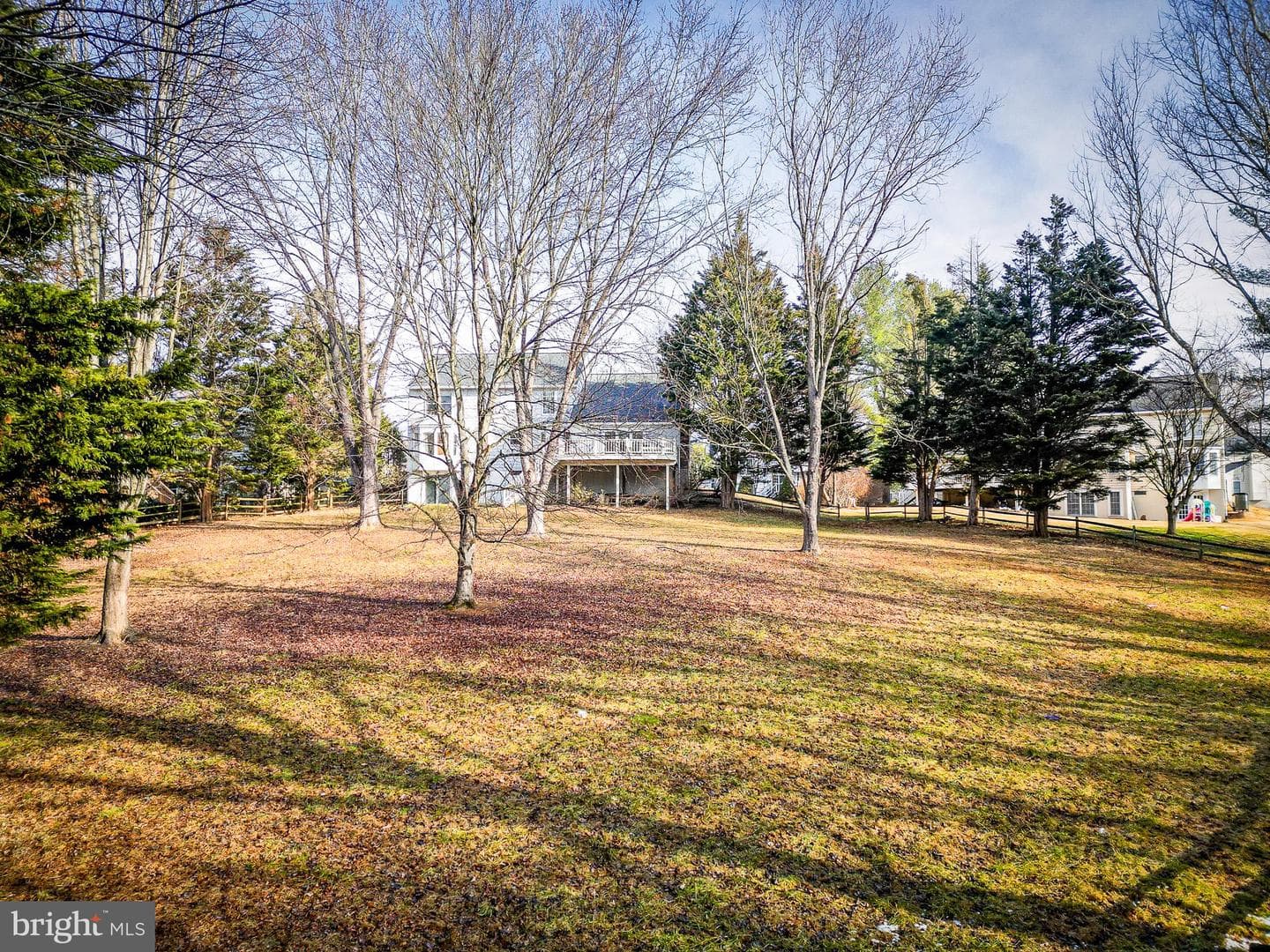 10343 Waverly Woods Drive photo 59