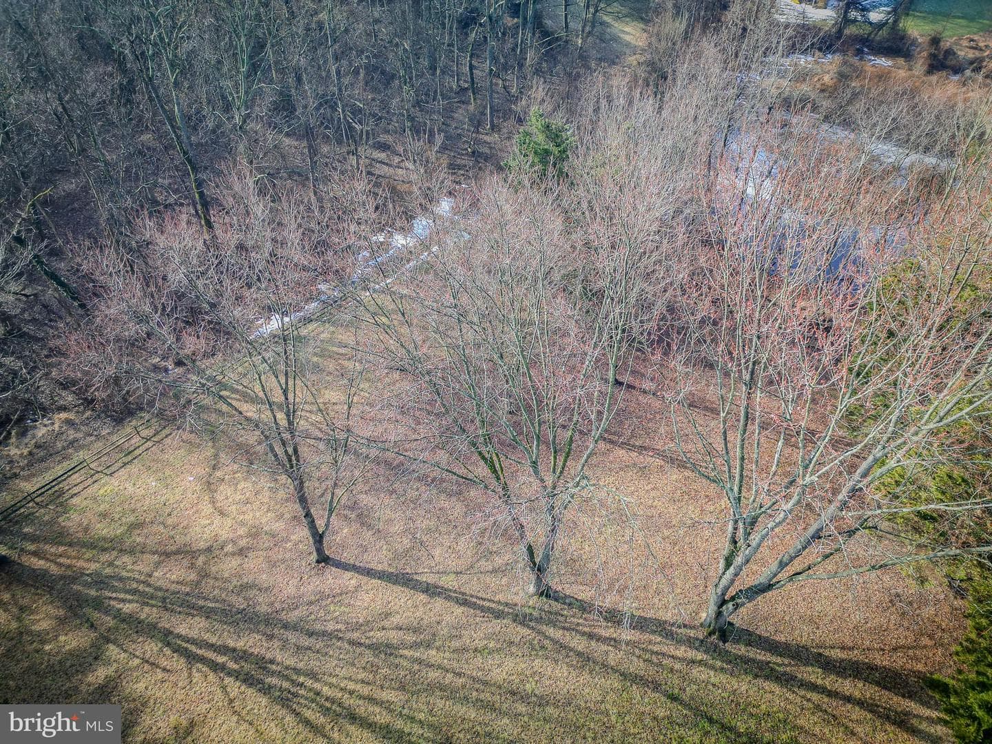 10343 Waverly Woods Drive photo 60