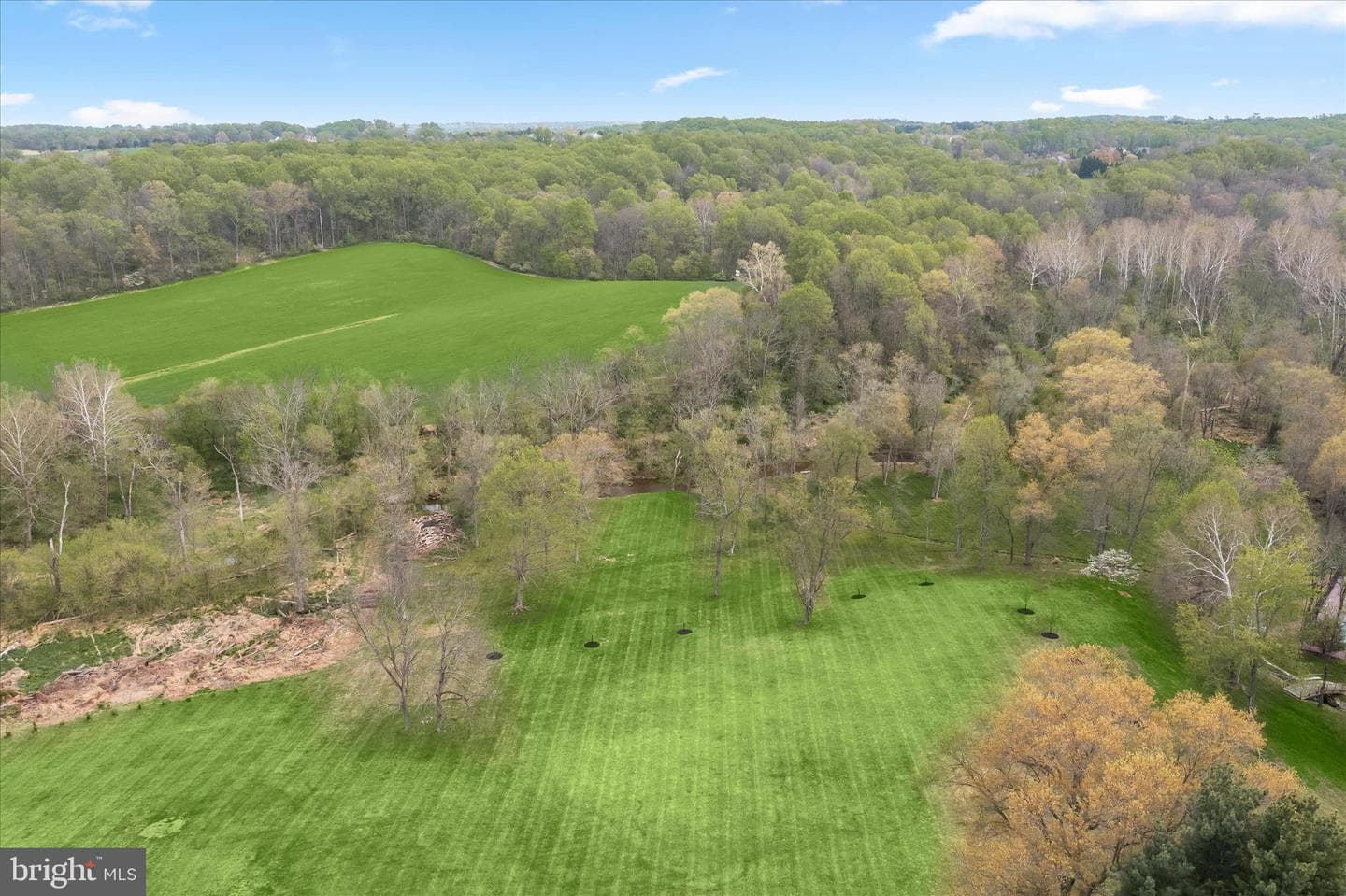 11802 Farside Road photo 5
