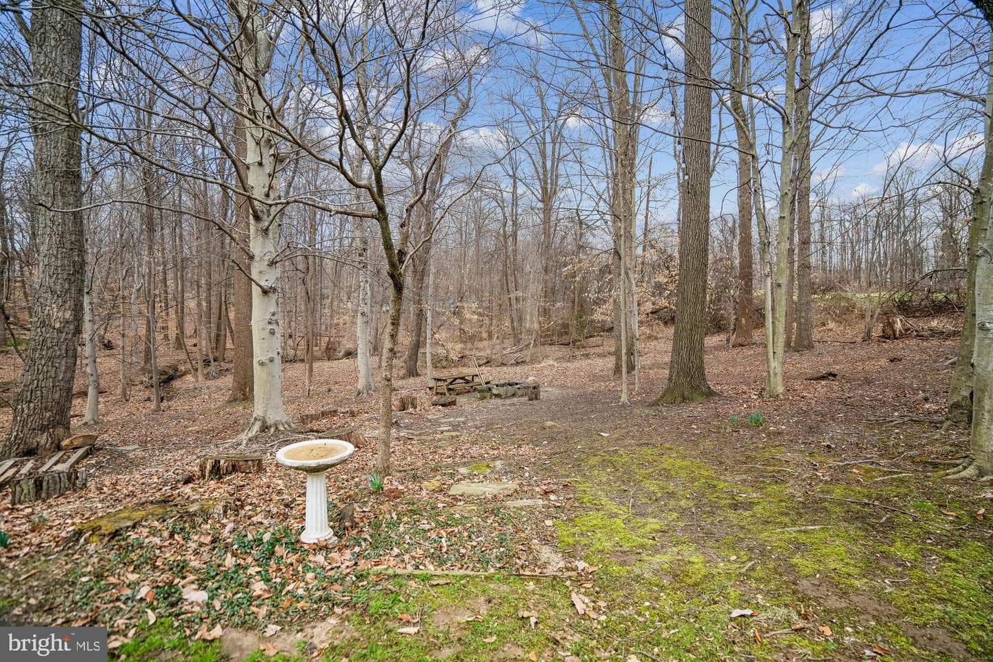 5885 Stearman Court photo 105