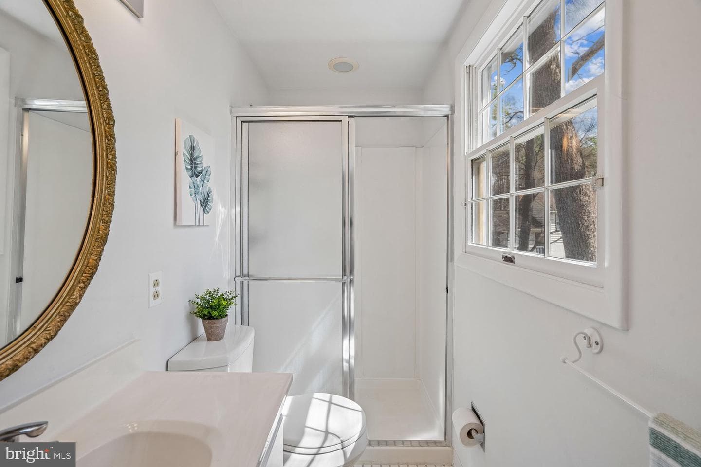 5209 Windmill Lane photo 43