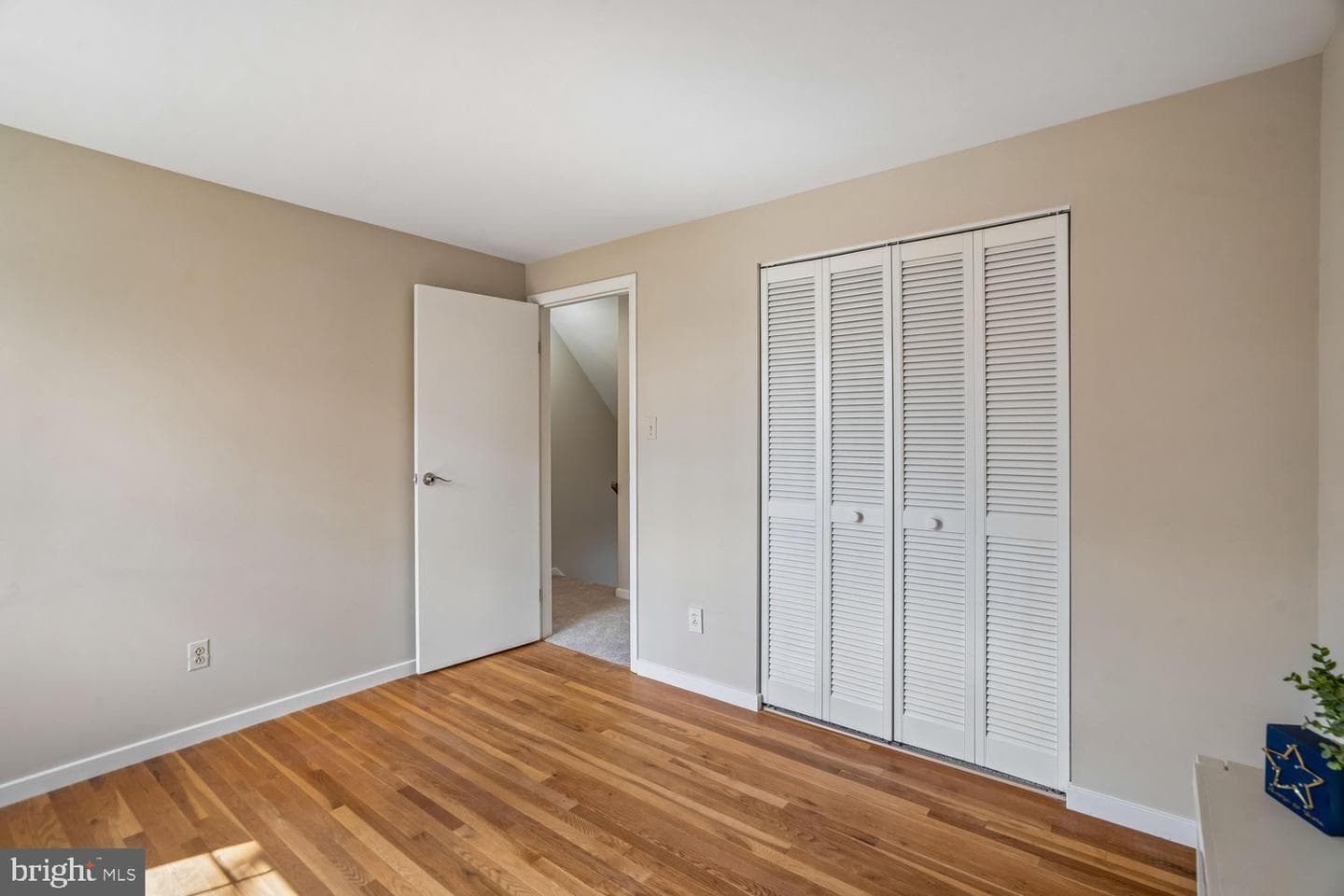 5209 Windmill Lane photo 51