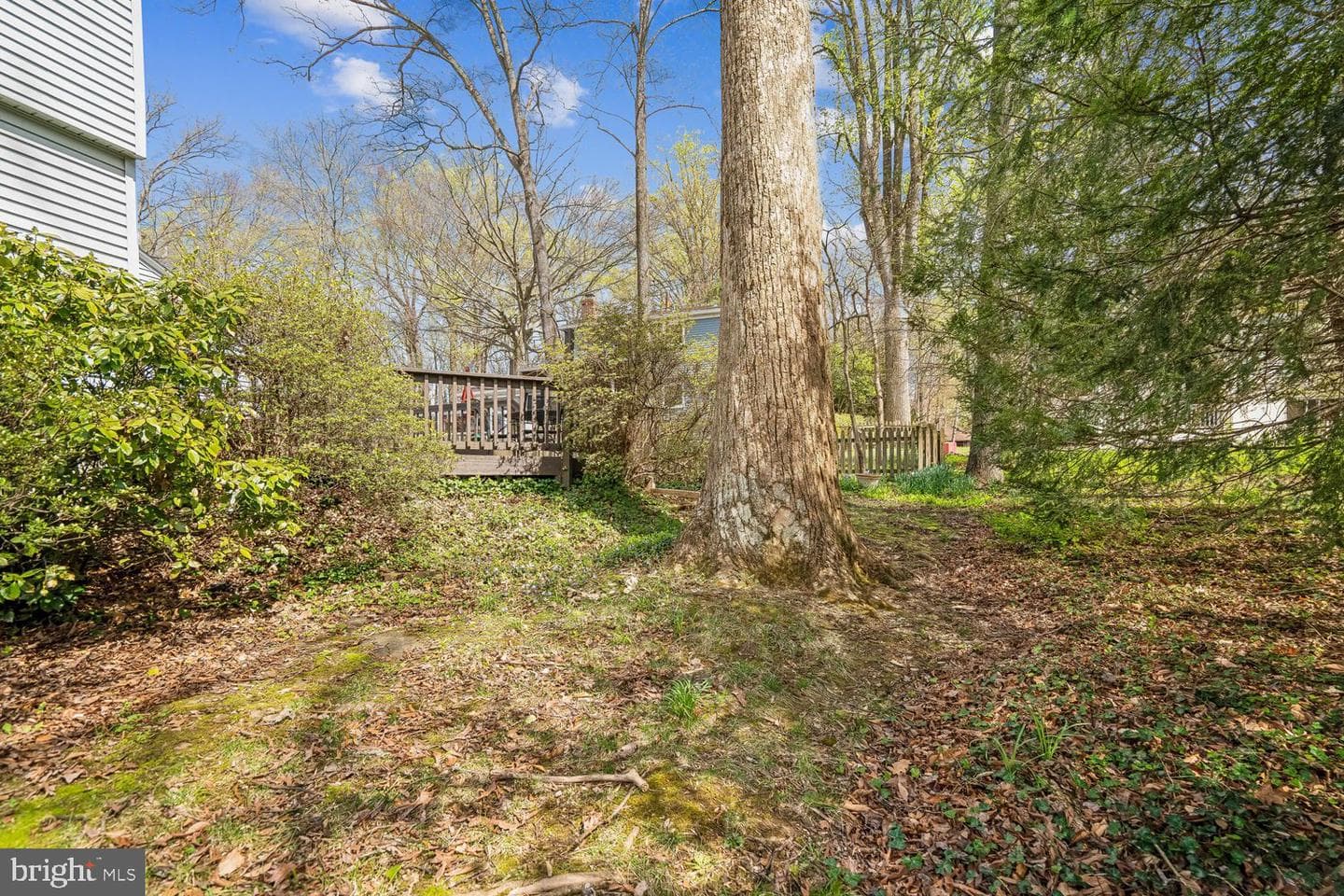 5209 Windmill Lane photo 60