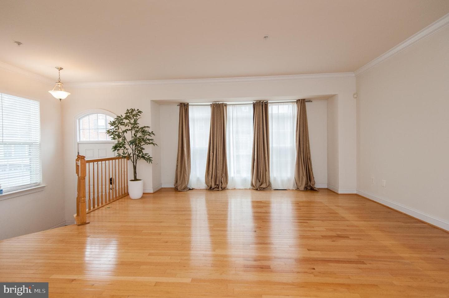 9843 Snow Bird Lane photo 23