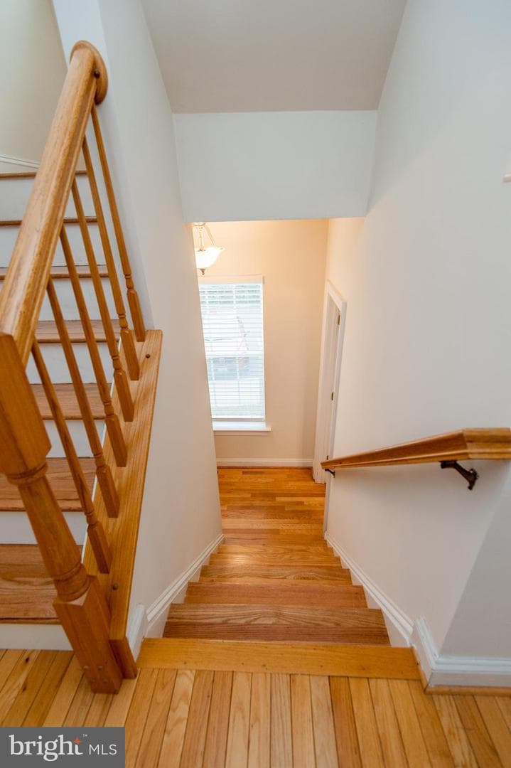 9843 Snow Bird Lane photo 29