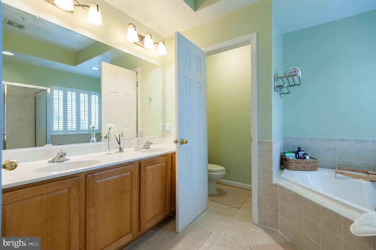 9843 Snow Bird Lane photo 70