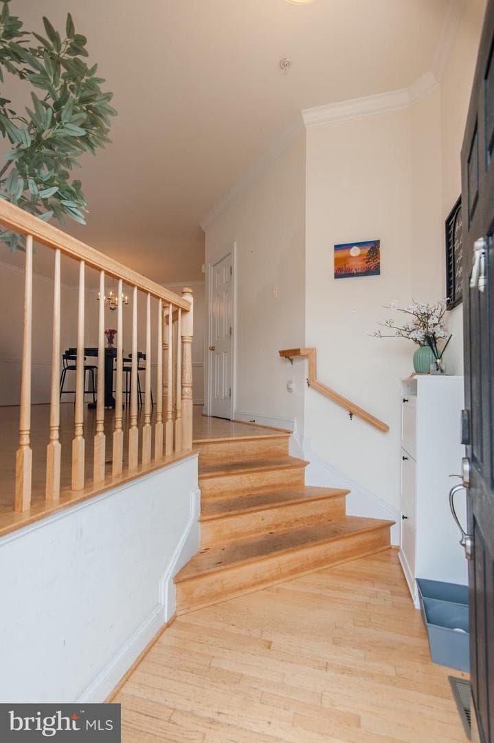 9843 Snow Bird Lane photo 71