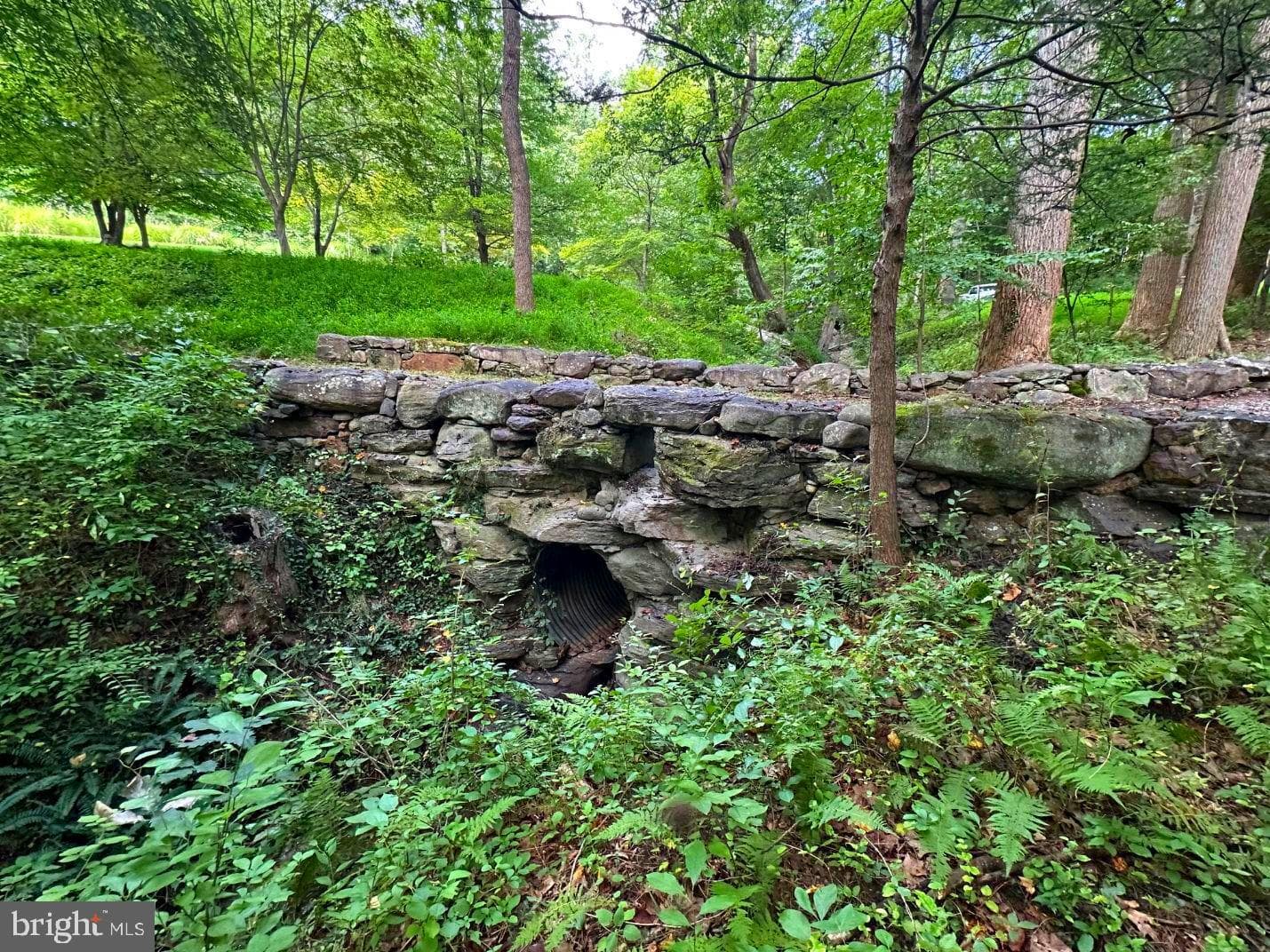 7244 Mink Hollow Road photo 100