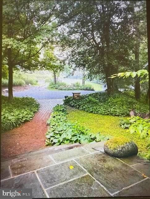 7244 Mink Hollow Road photo 4
