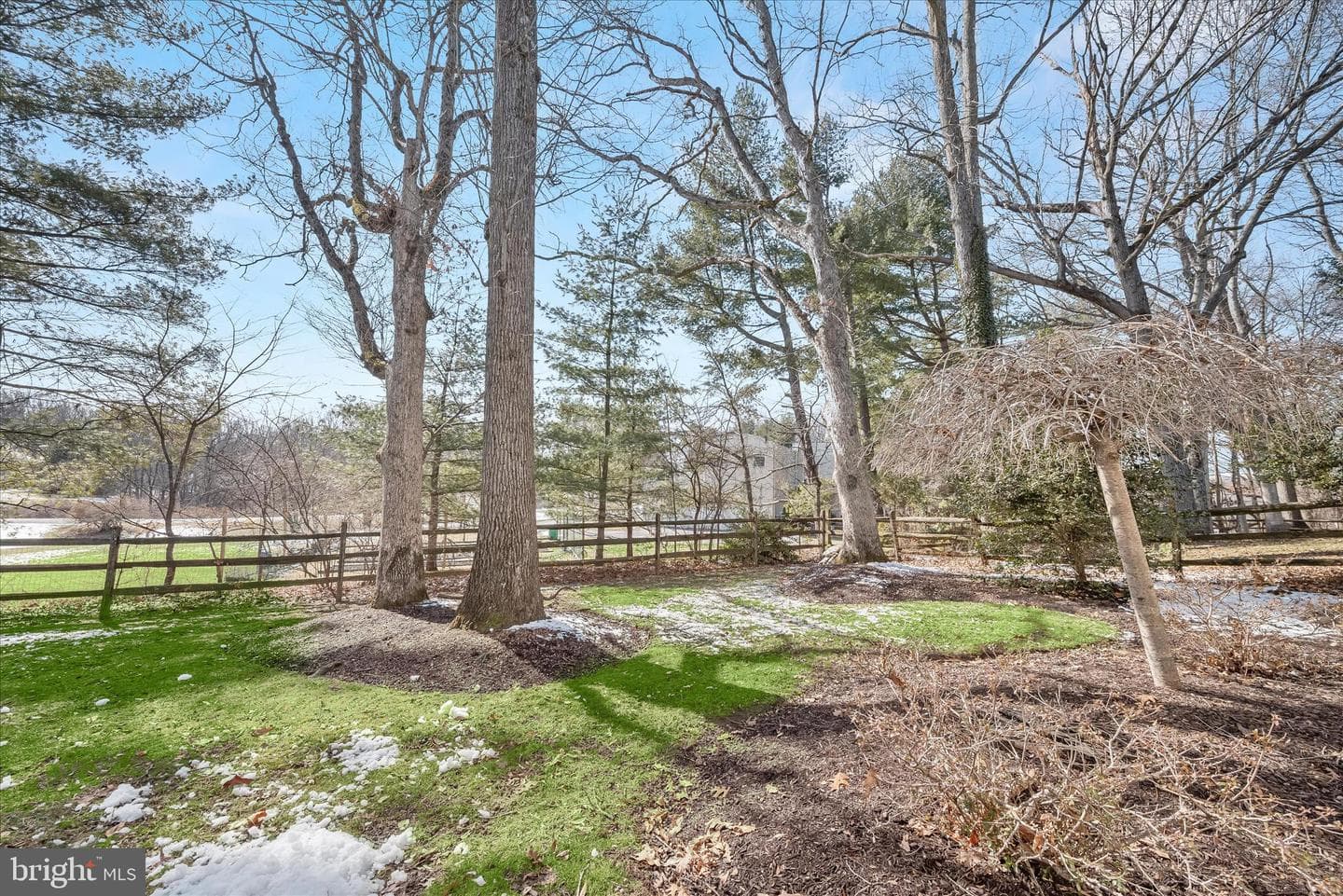 10623 Millet Seed Hill photo 71