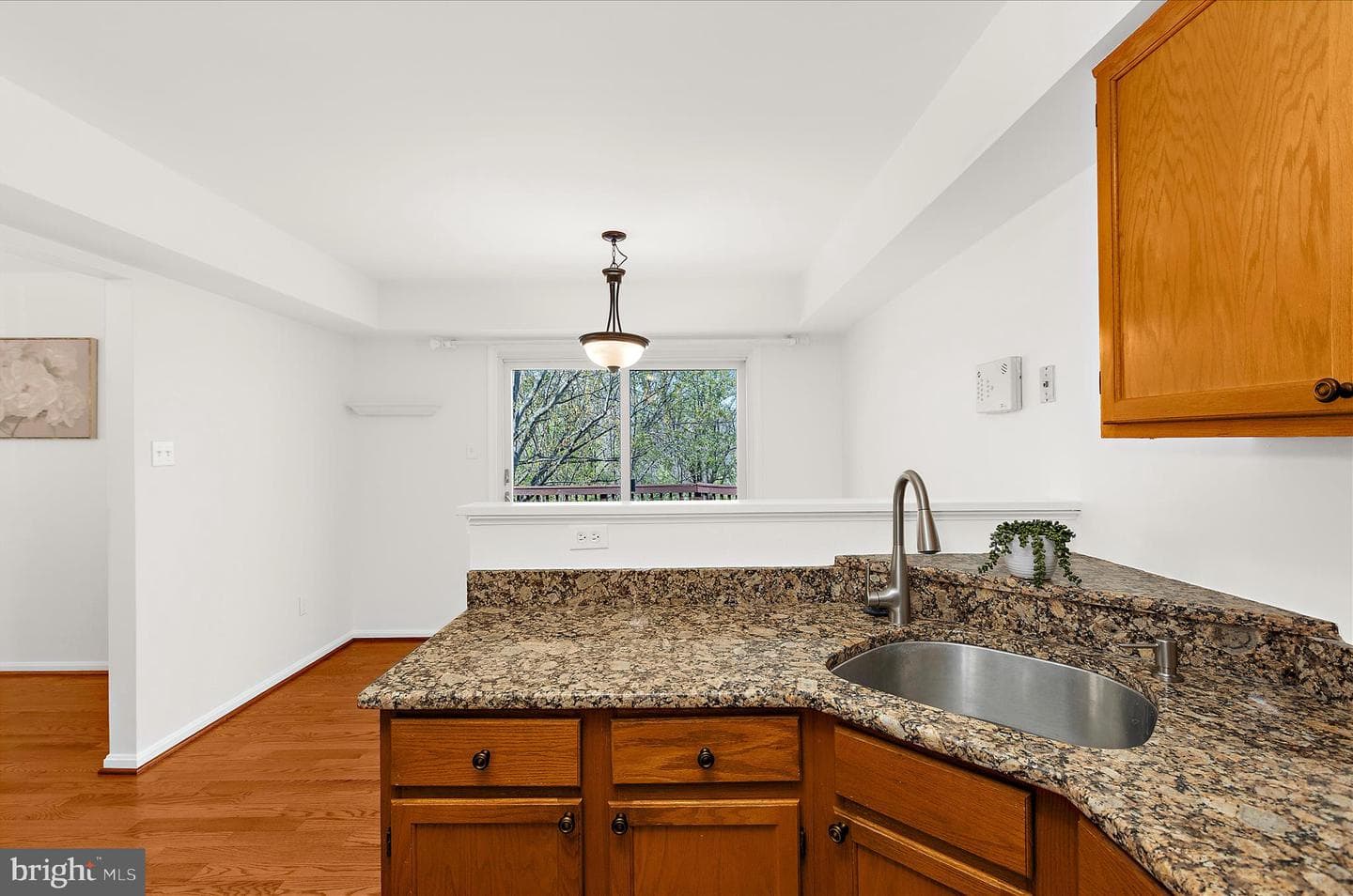 8666 Manahan Drive photo 14