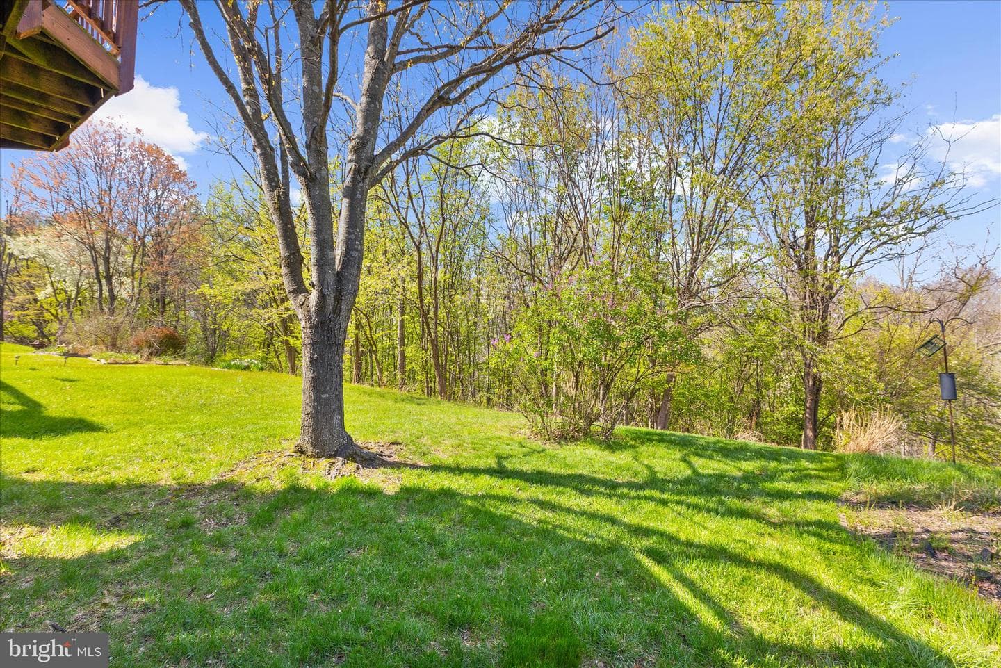 8666 Manahan Drive photo 45