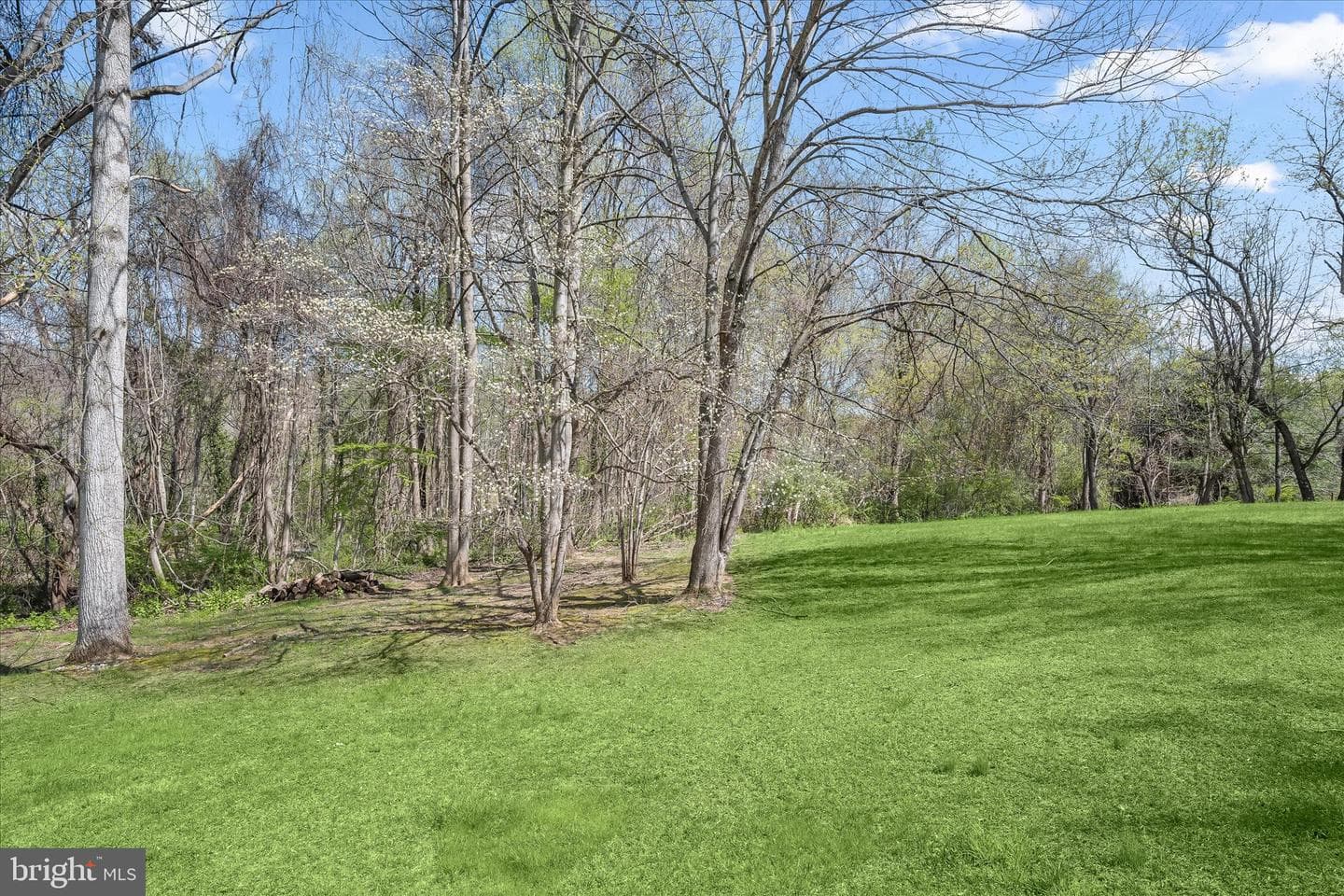 6735 Mink Hollow Road photo 52
