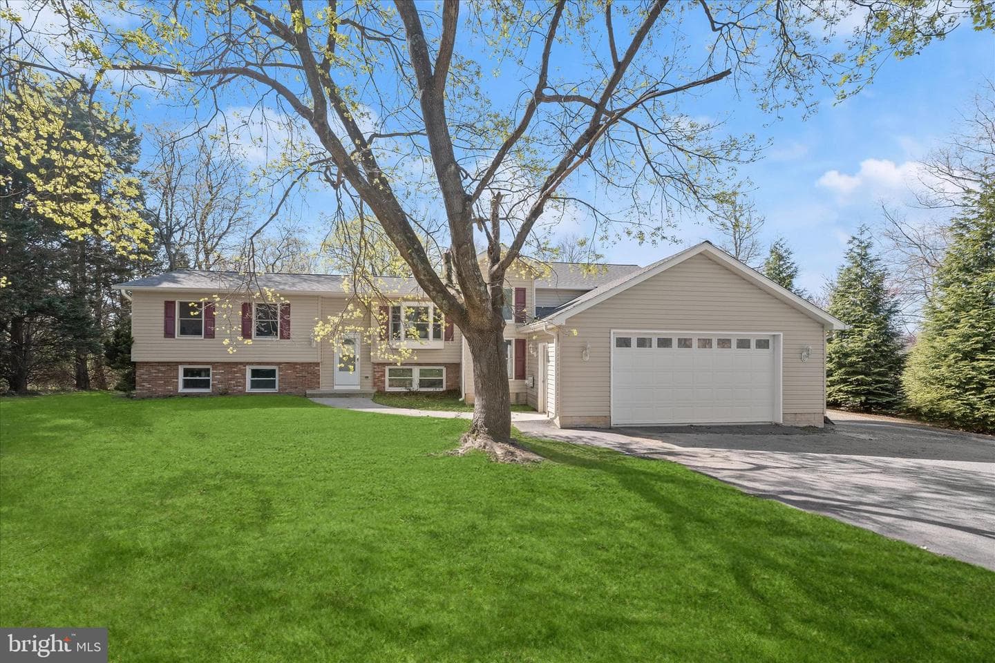 14865 Bushy Park Road photo 26