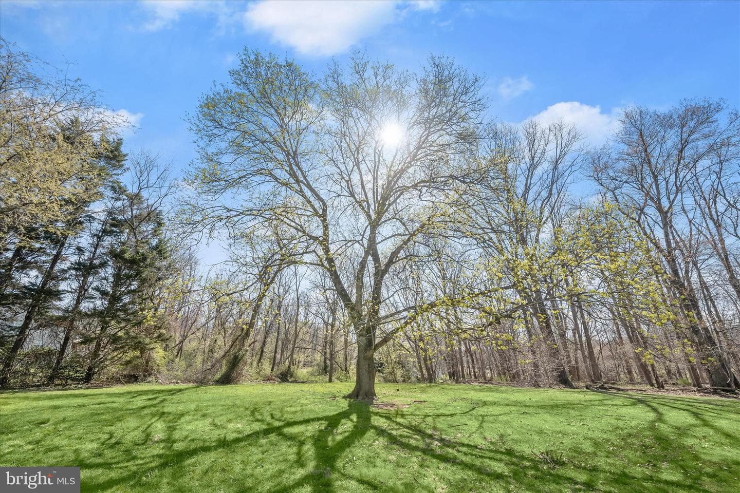 14865 Bushy Park Road photo 34