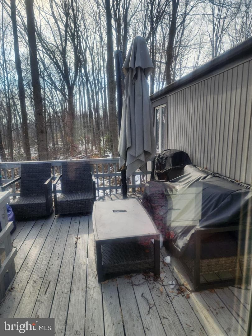 6315 Leafy Screen photo 13