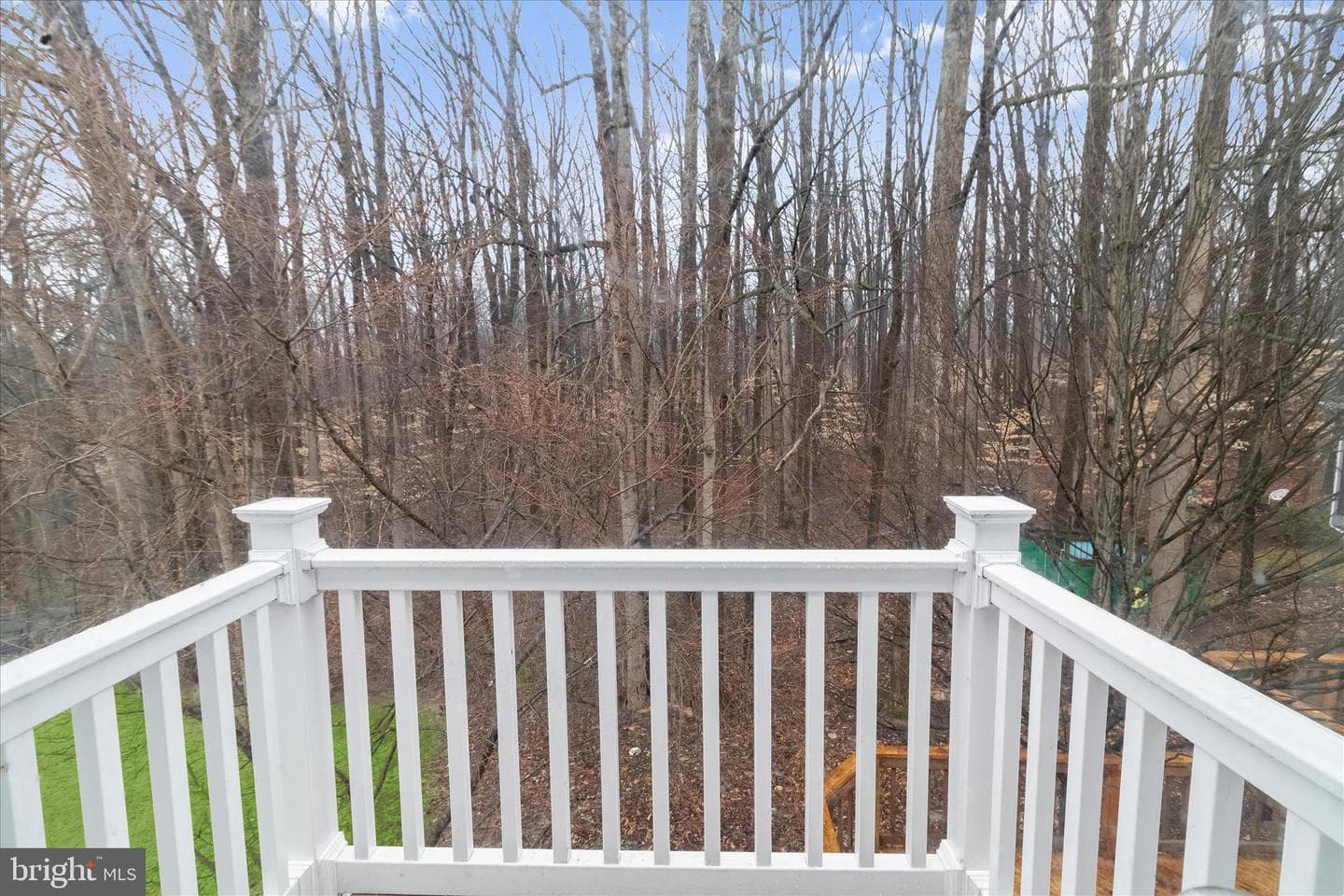 10895 Beech Creek Drive photo 54