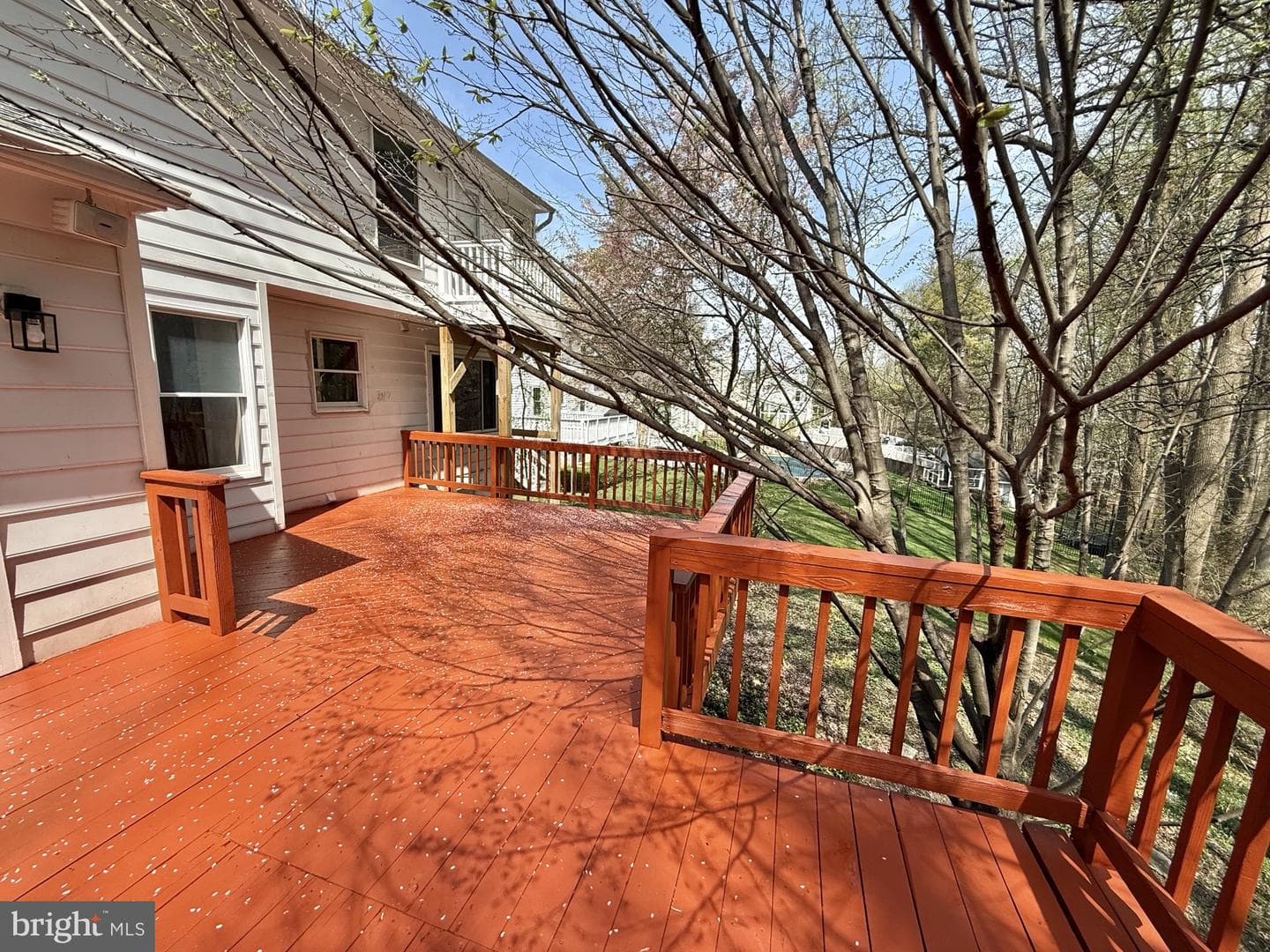 10895 Beech Creek Drive photo 62