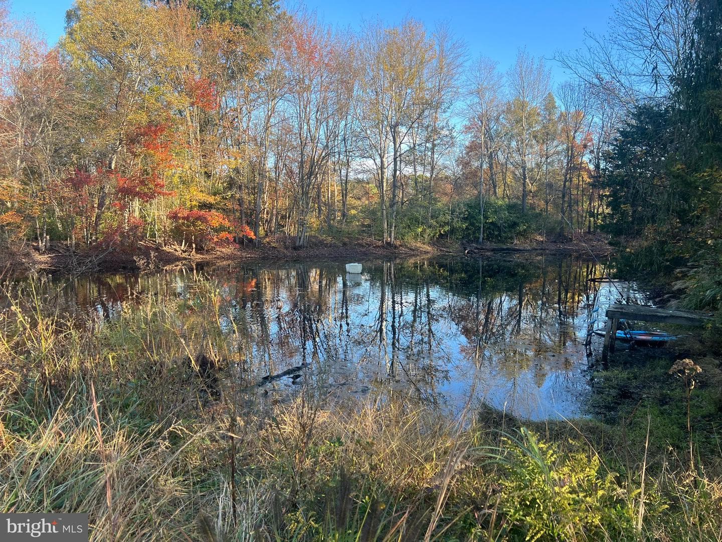 2935 Route 97 photo 36