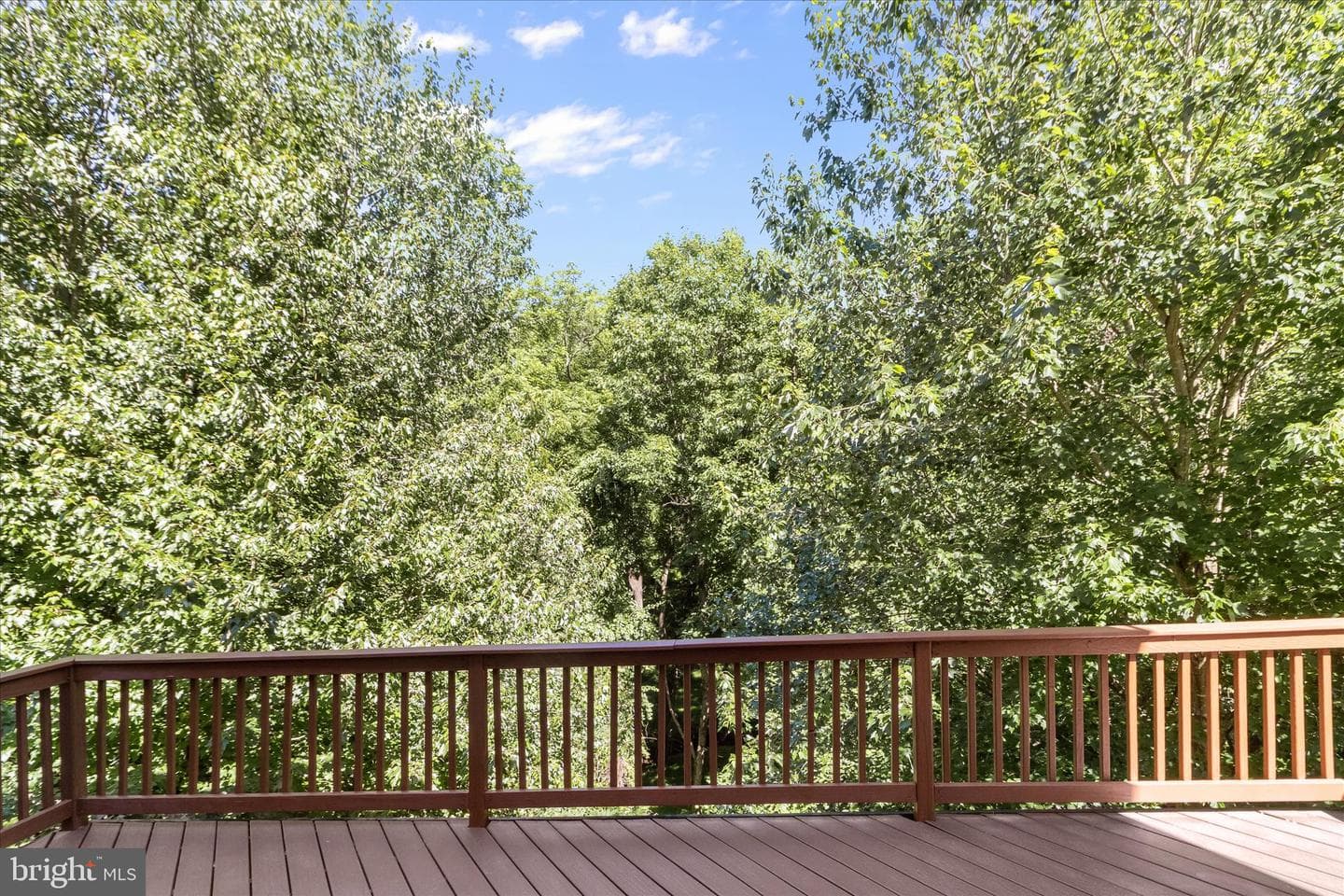 8532 Light Moon Way photo 24