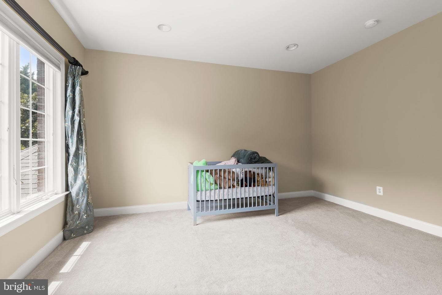 11616 Mirror Pond Court photo 57