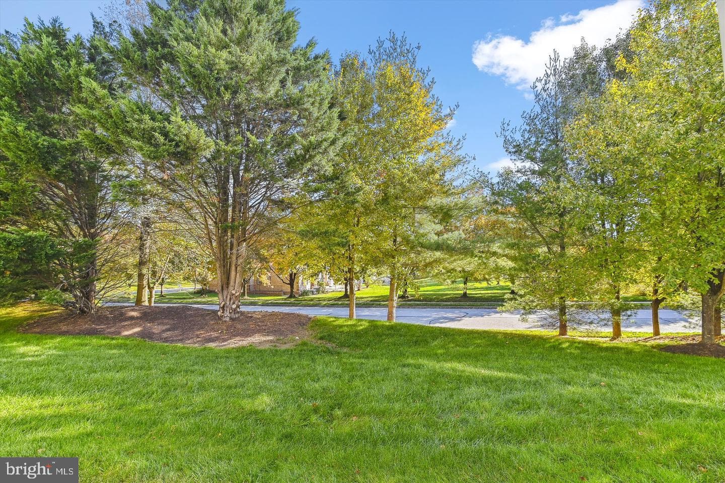 2219 Merion Pond #9 photo 41