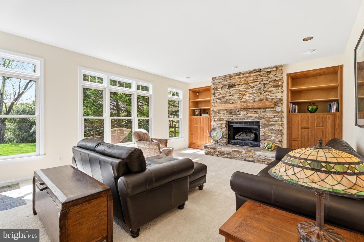 3831 Parrot Drive photo 15