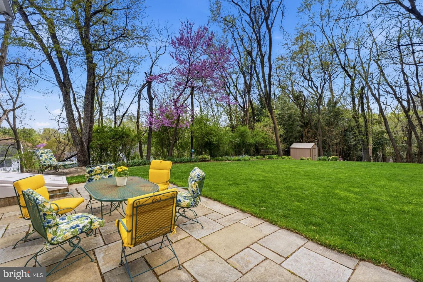 3831 Parrot Drive photo 68